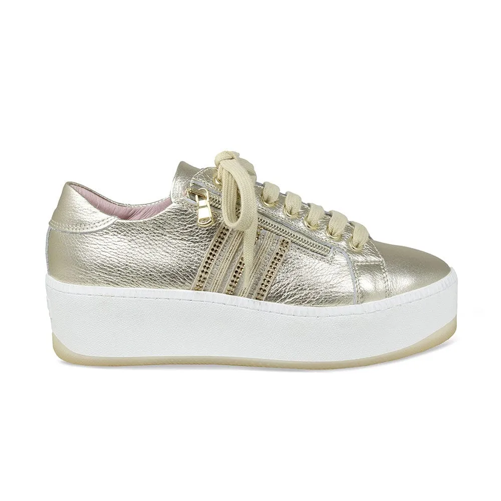 Disco: Gold Leather