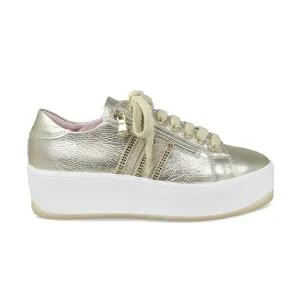 Disco: Gold Leather