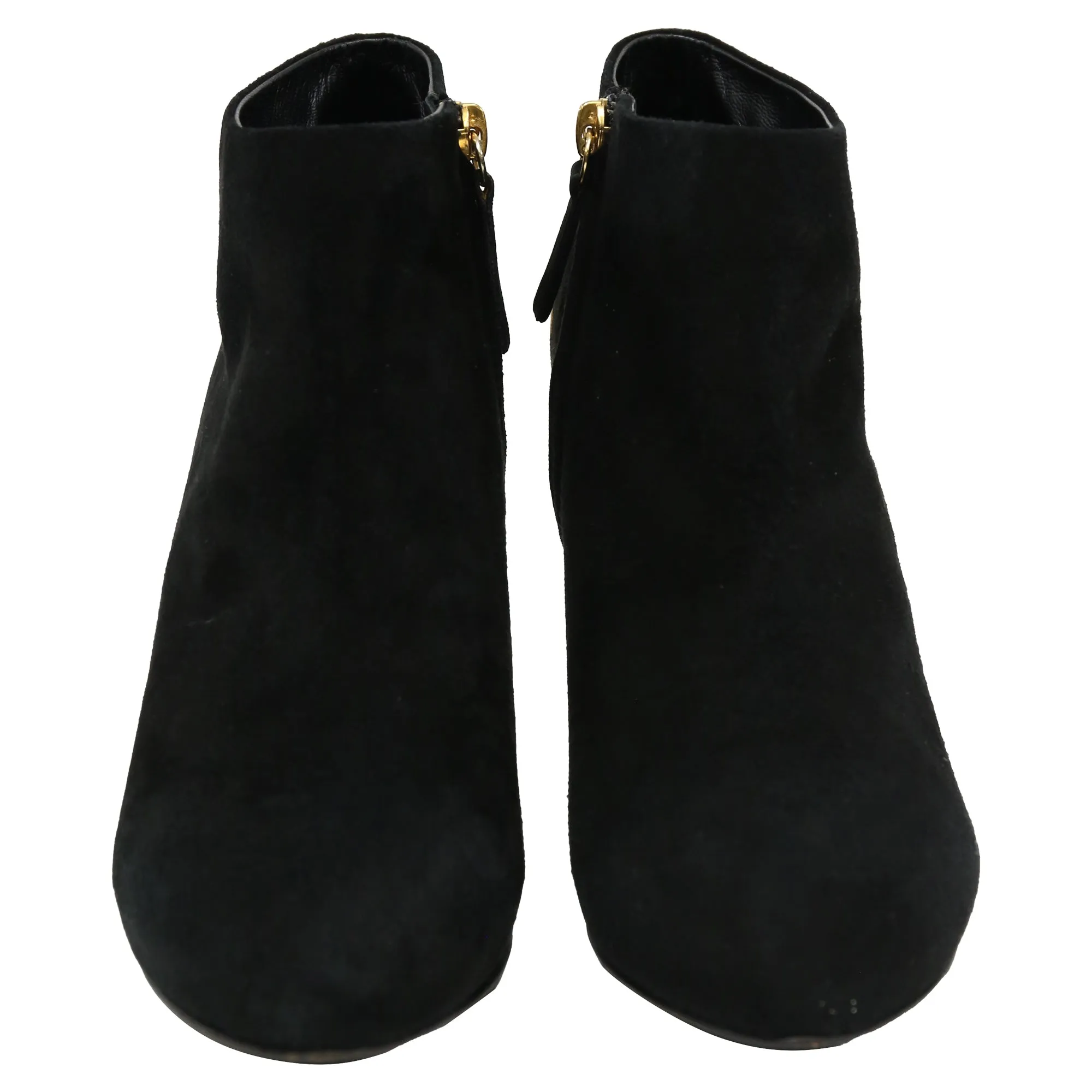 Giuseppe Zanotti Gold Heel Detail Ankle Boots in Black Suede
