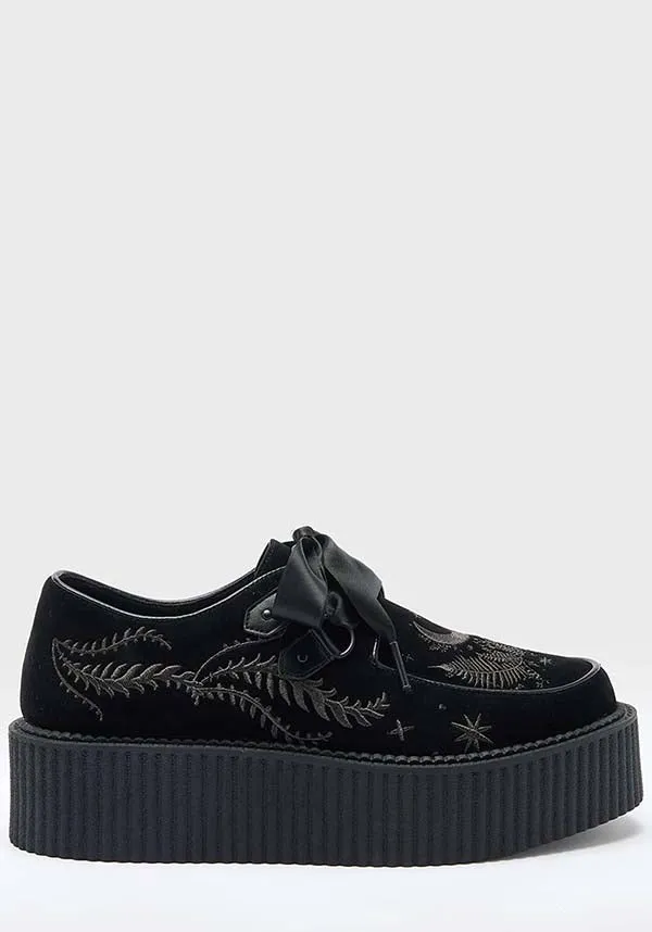 In A Phase | CREEPERS