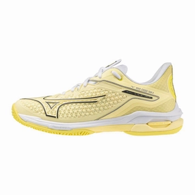 Mizuno Women's Wave Exceed Tour 6 AC (550052-3GBS) Hard court women's shoes