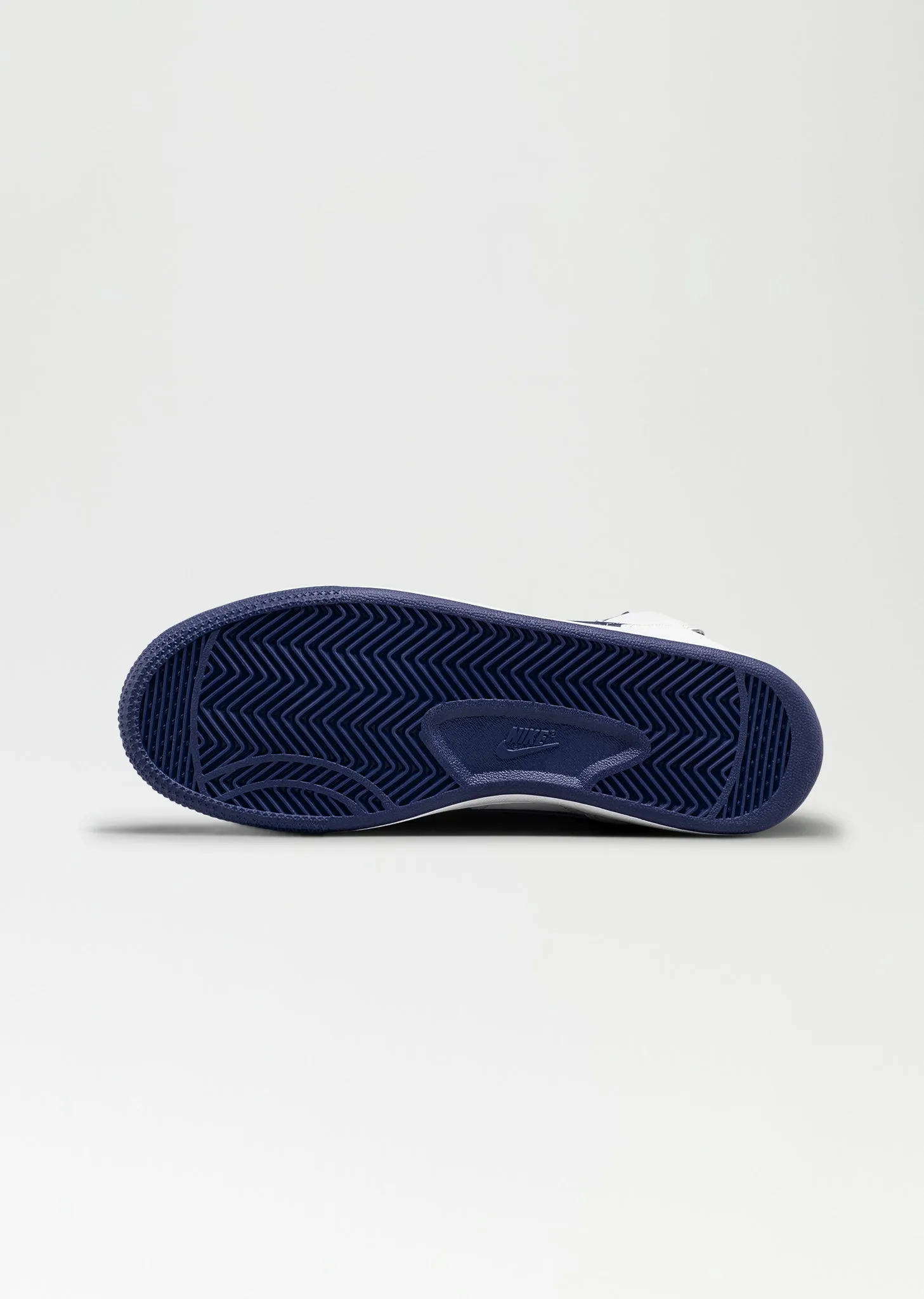 Nike Terminator Sneaker  Blue