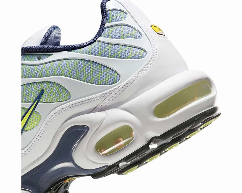 Nike Air Max Plus "Pebble Grey" Nike all-day comfort shoes