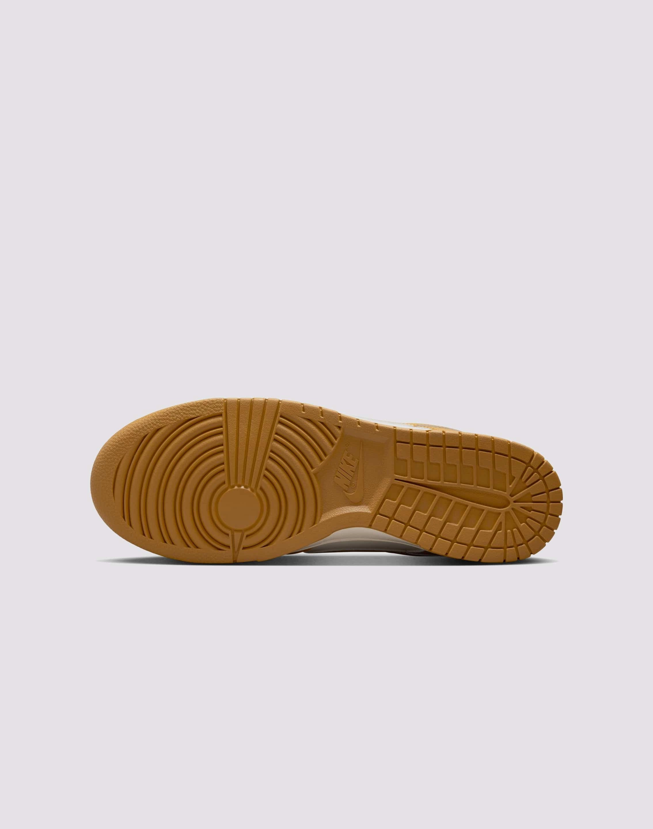 Nike Dunk Low Retro Speed Sneakers