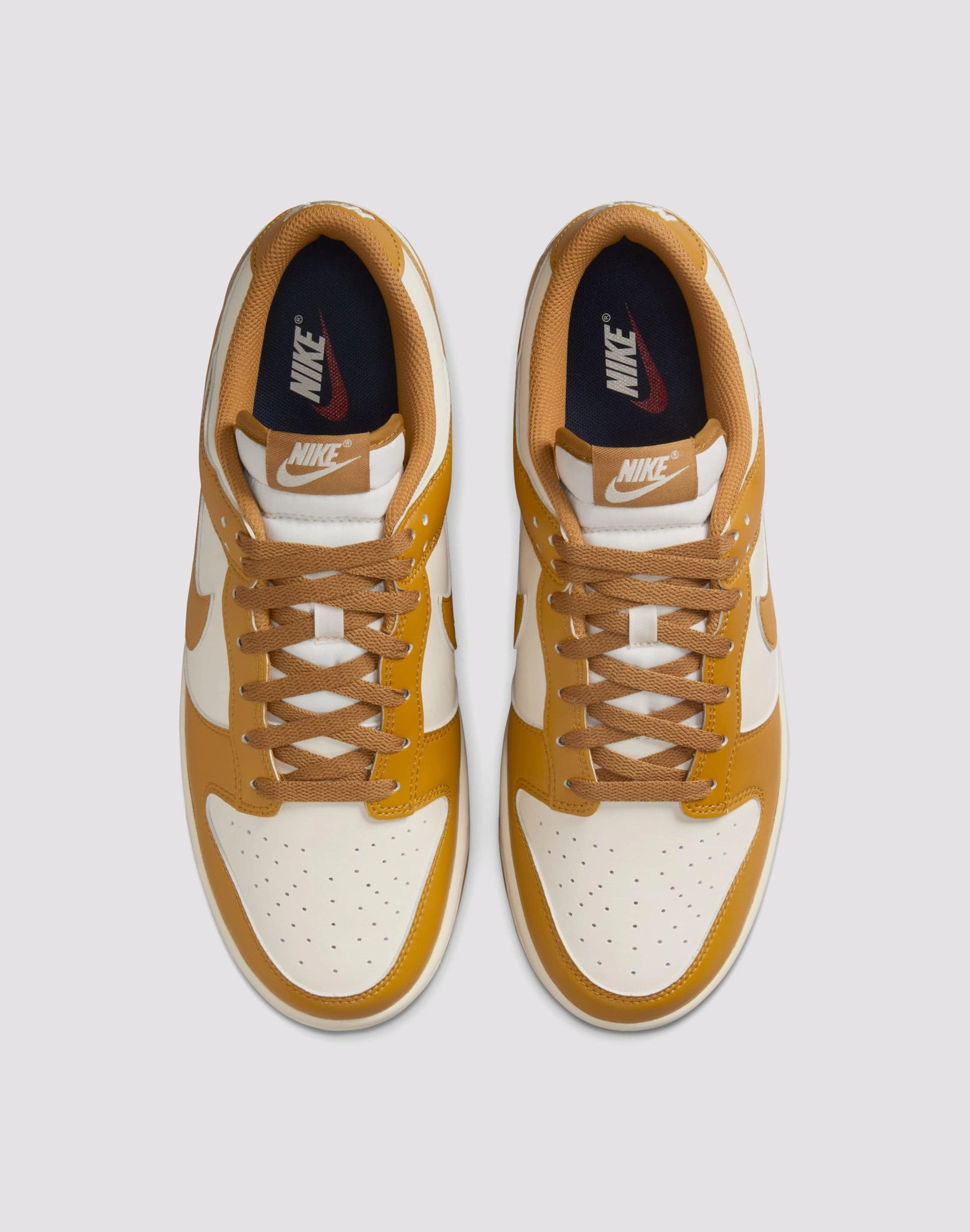 Nike Dunk Low Retro Speed Sneakers