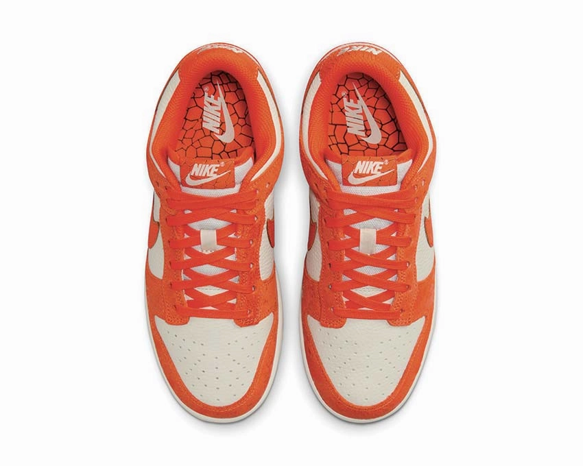 Nike Dunk Low Wmns Nike retro-inspired sneakers