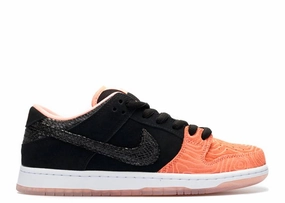 Nike Dunk SB Low Premier Fish Ladder Nike high-performance sneakers for workouts