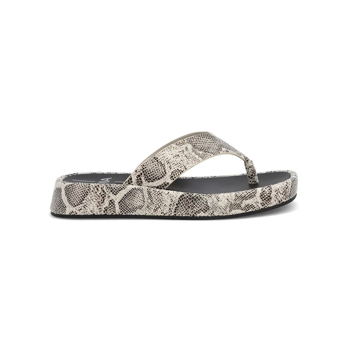 PAMELIA - SNAKE