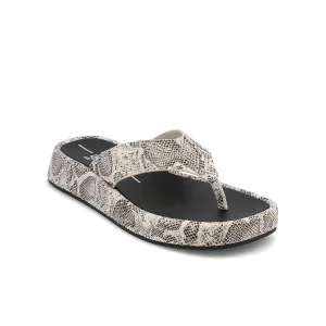 PAMELIA - SNAKE