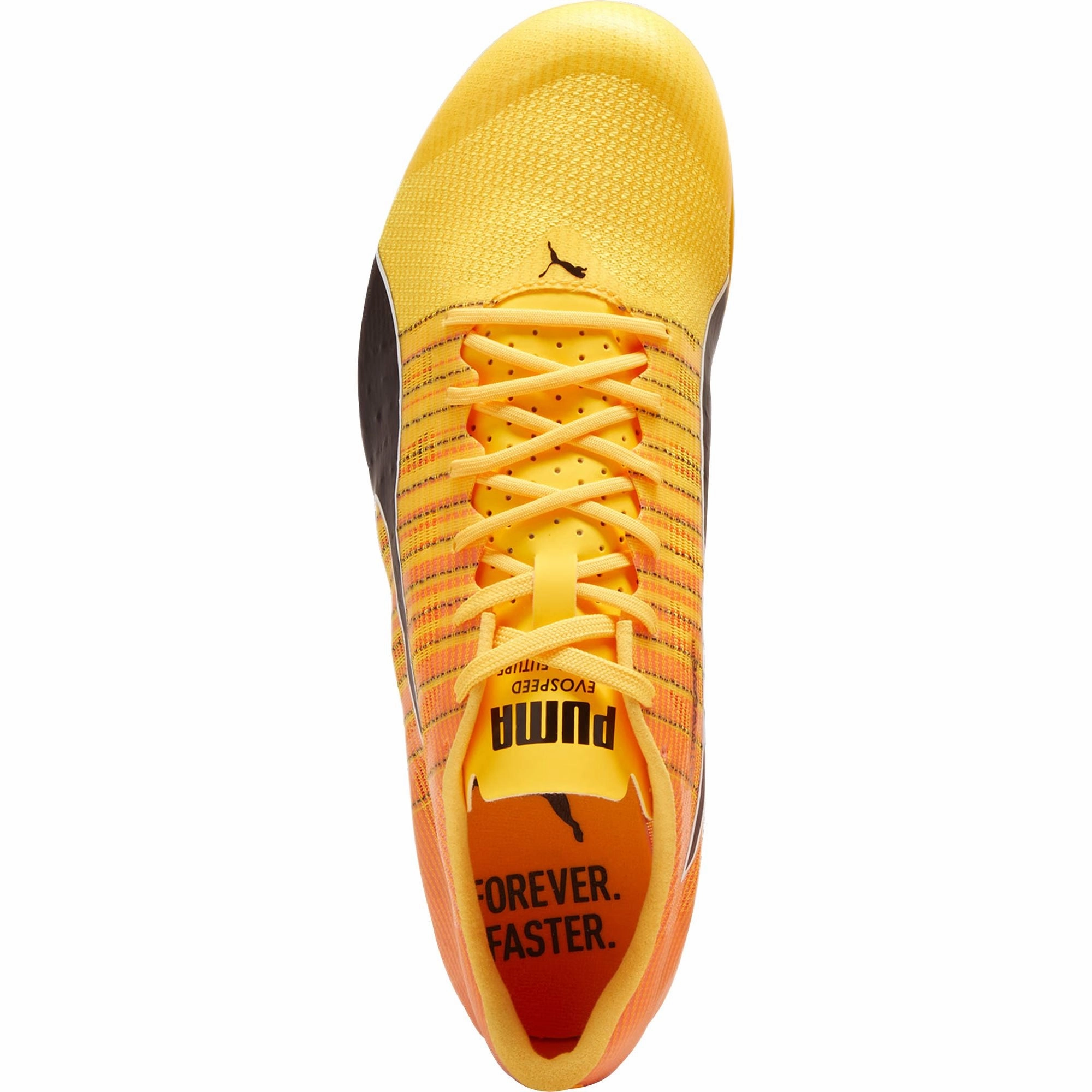 Puma evoSpeed Future 6 Running Spikes - Orange Cozy Footwear