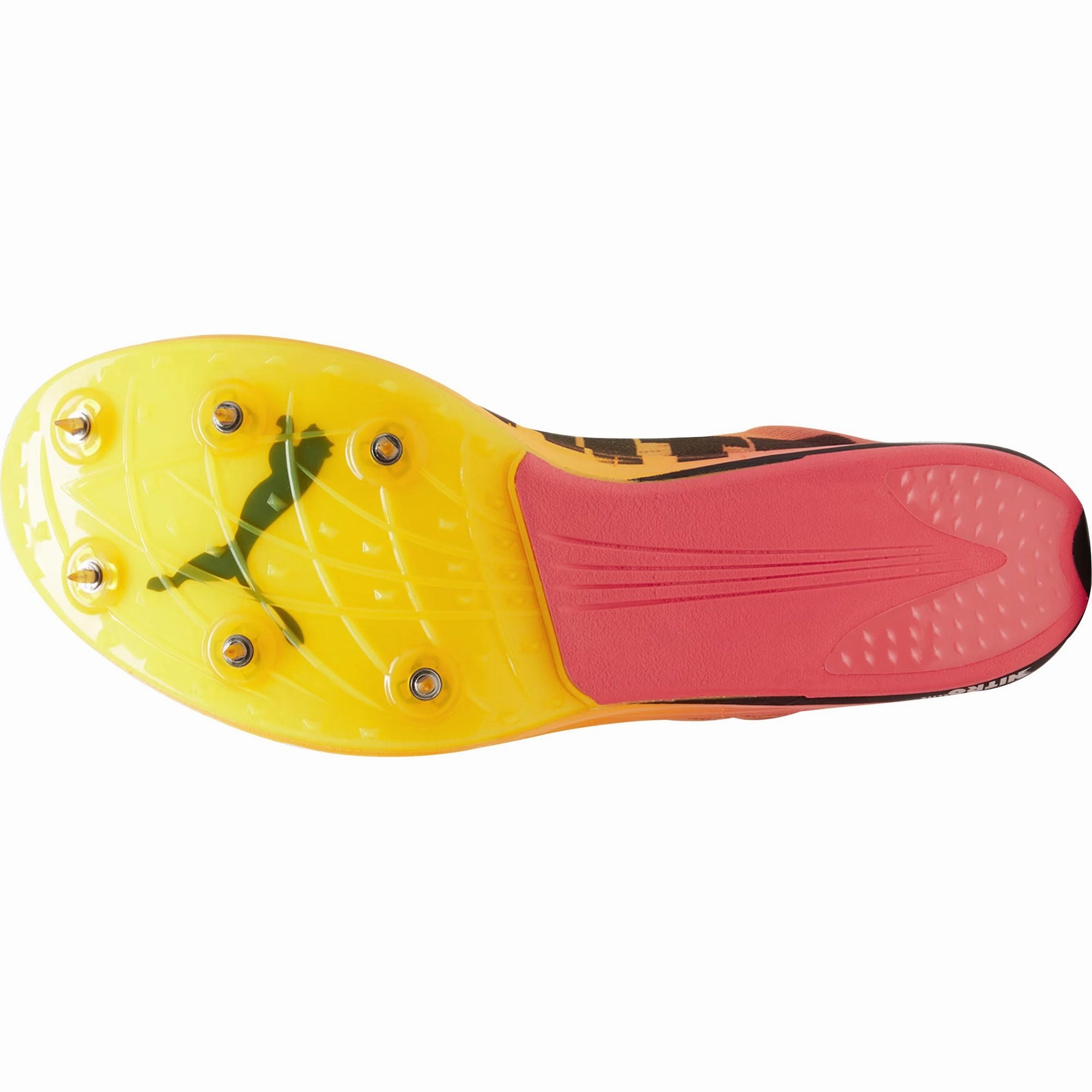Puma evoSpeed Long Distance Nitro Elite 2 Running Spikes - Orange Bold Sneakers