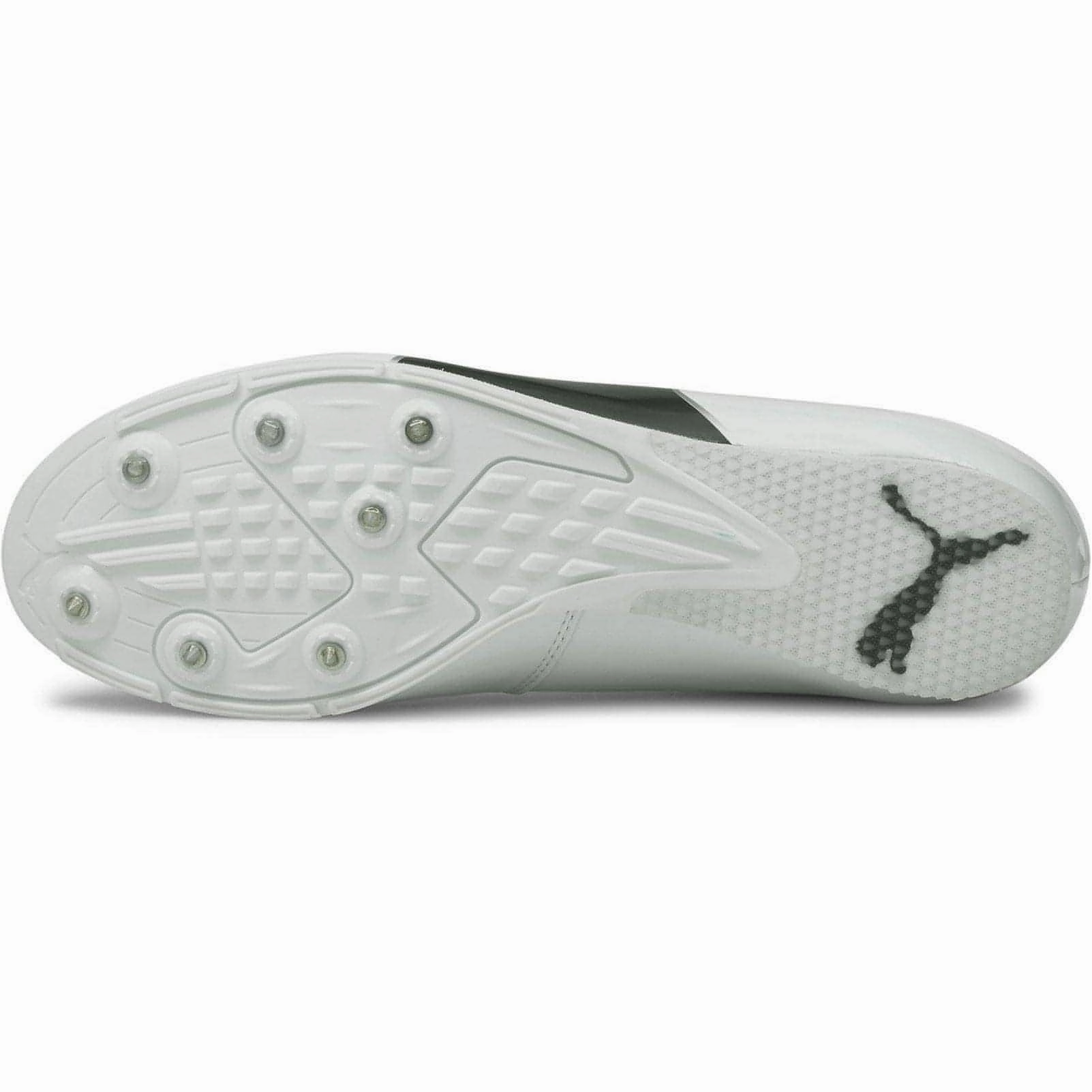 Puma evoSpeed Long Jump 6 Field Event Spikes - White Cozy Footwear