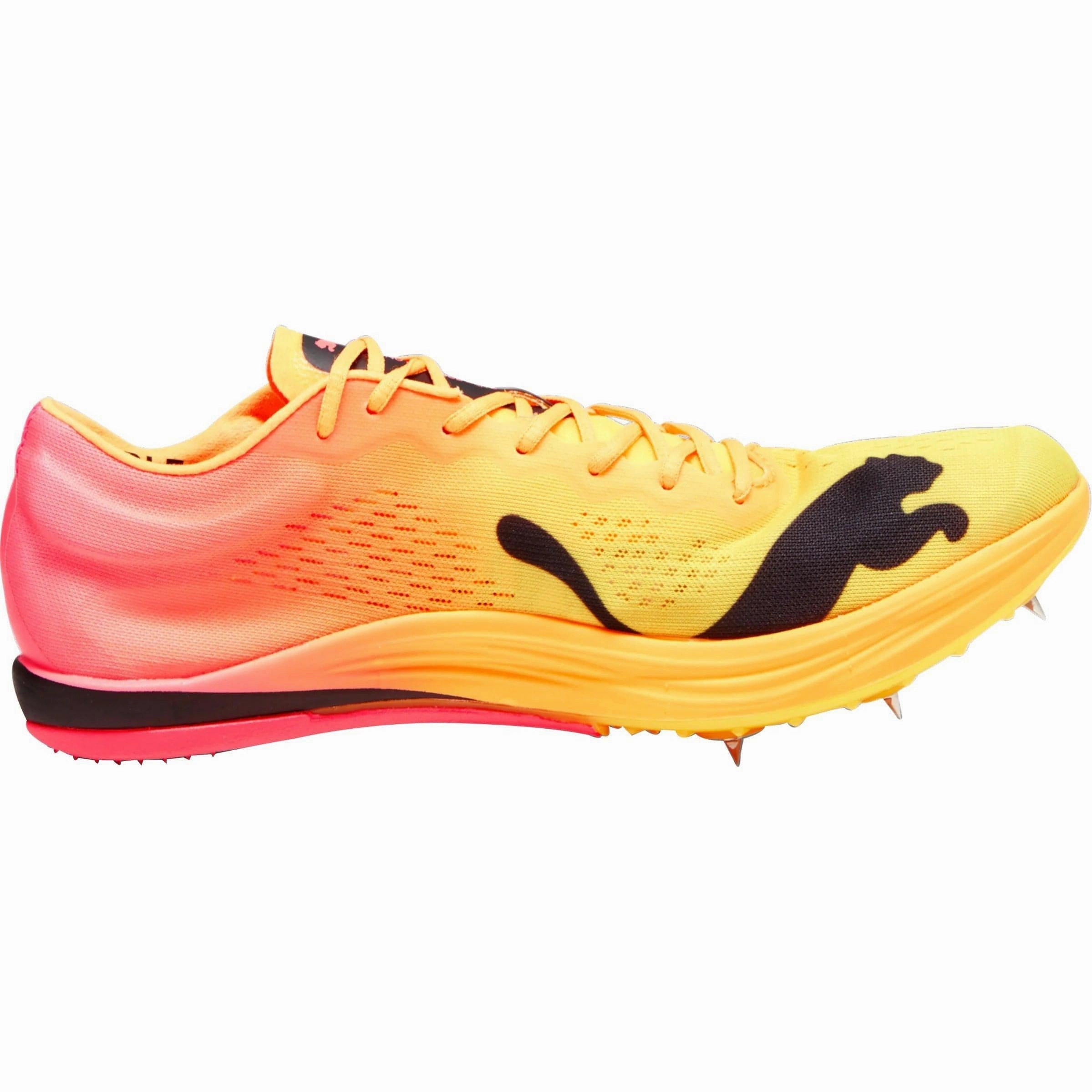 Puma evoSpeed Nitro Elite  Long Distance Running Spikes - Orange Cozy Footwear