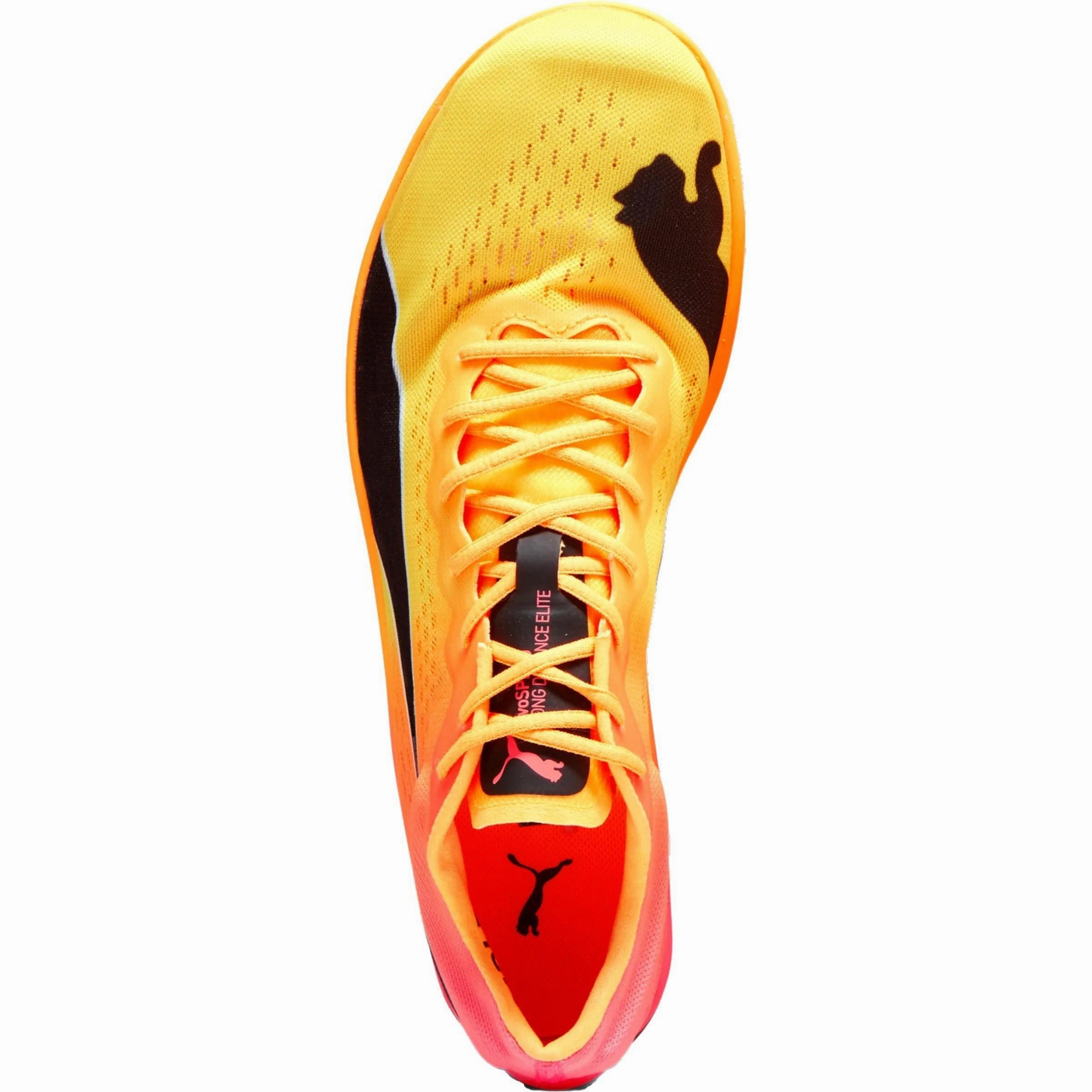 Puma evoSpeed Nitro Elite  Long Distance Running Spikes - Orange Cozy Footwear
