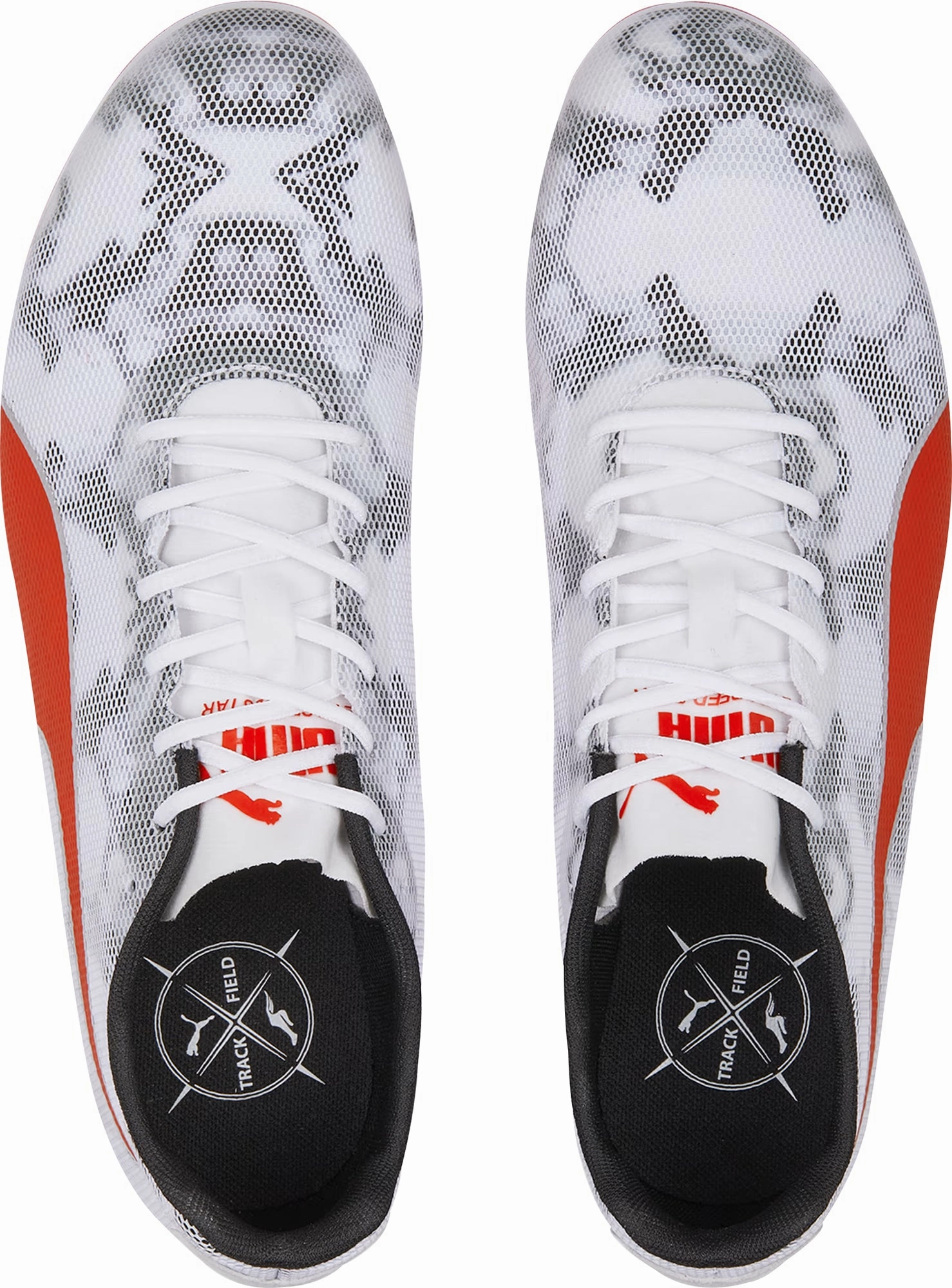 Puma evoSpeed Star 8 Running Spikes - White Cozy Footwear