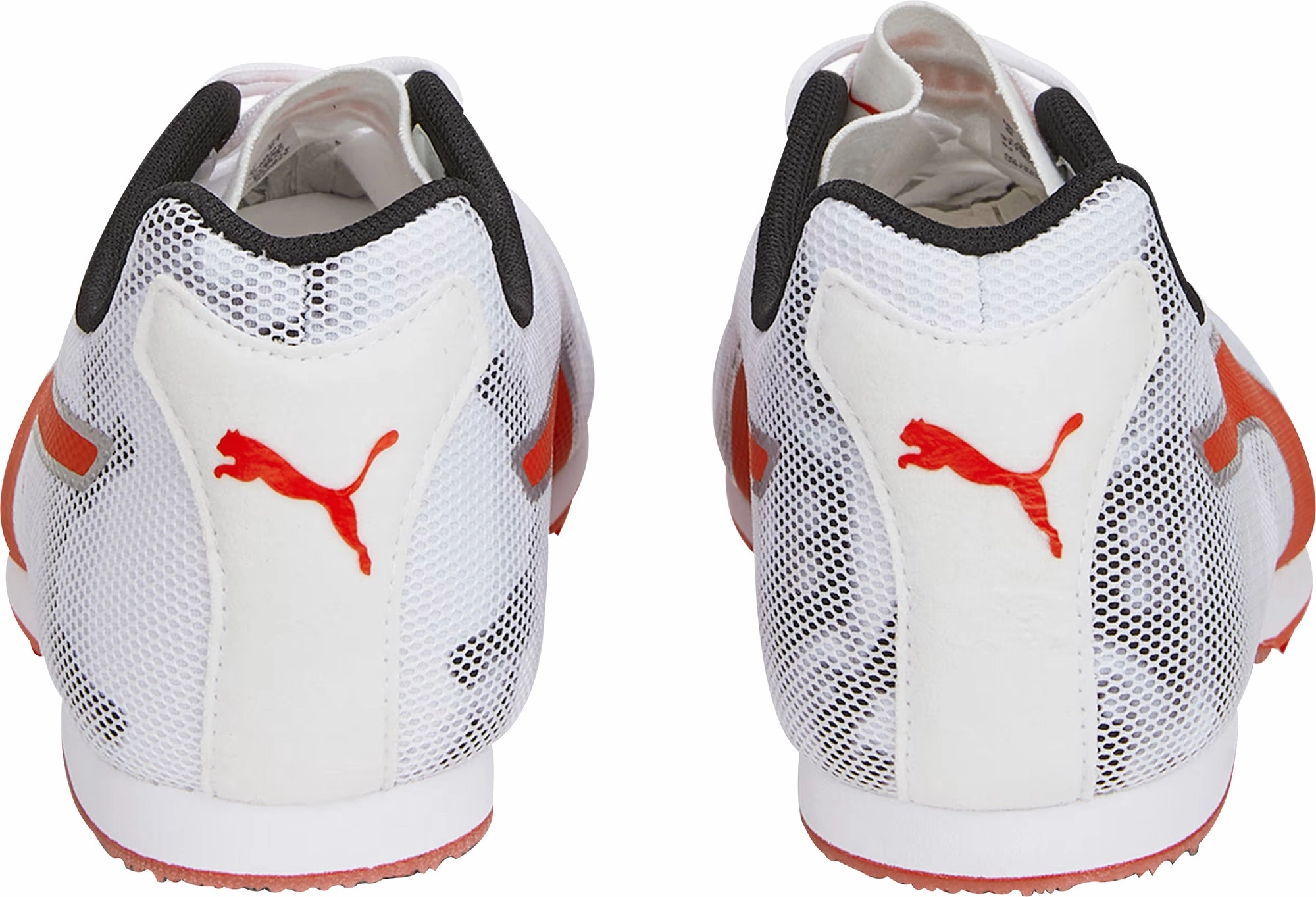 Puma evoSpeed Star 8 Running Spikes - White Cozy Footwear