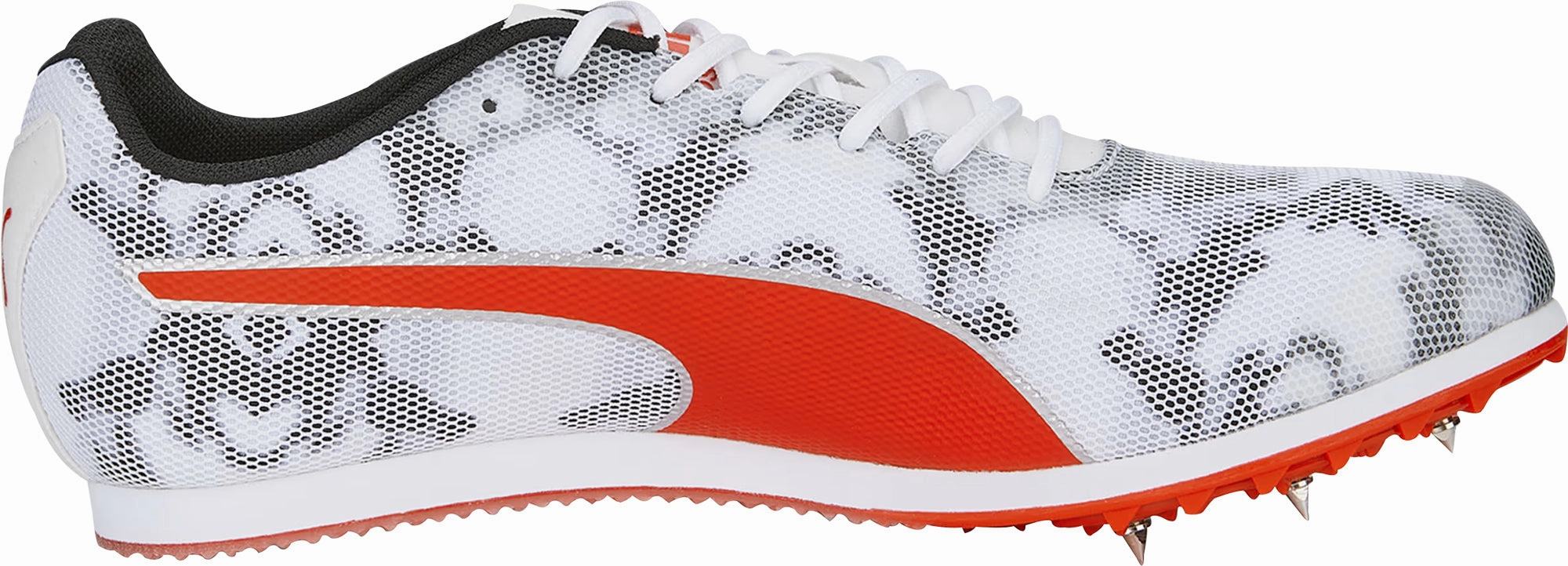 Puma evoSpeed Star 8 Running Spikes - White Cozy Footwear