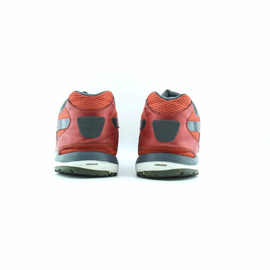PUMA FAAS LIGHT MESH Puma sporty sneaker designs