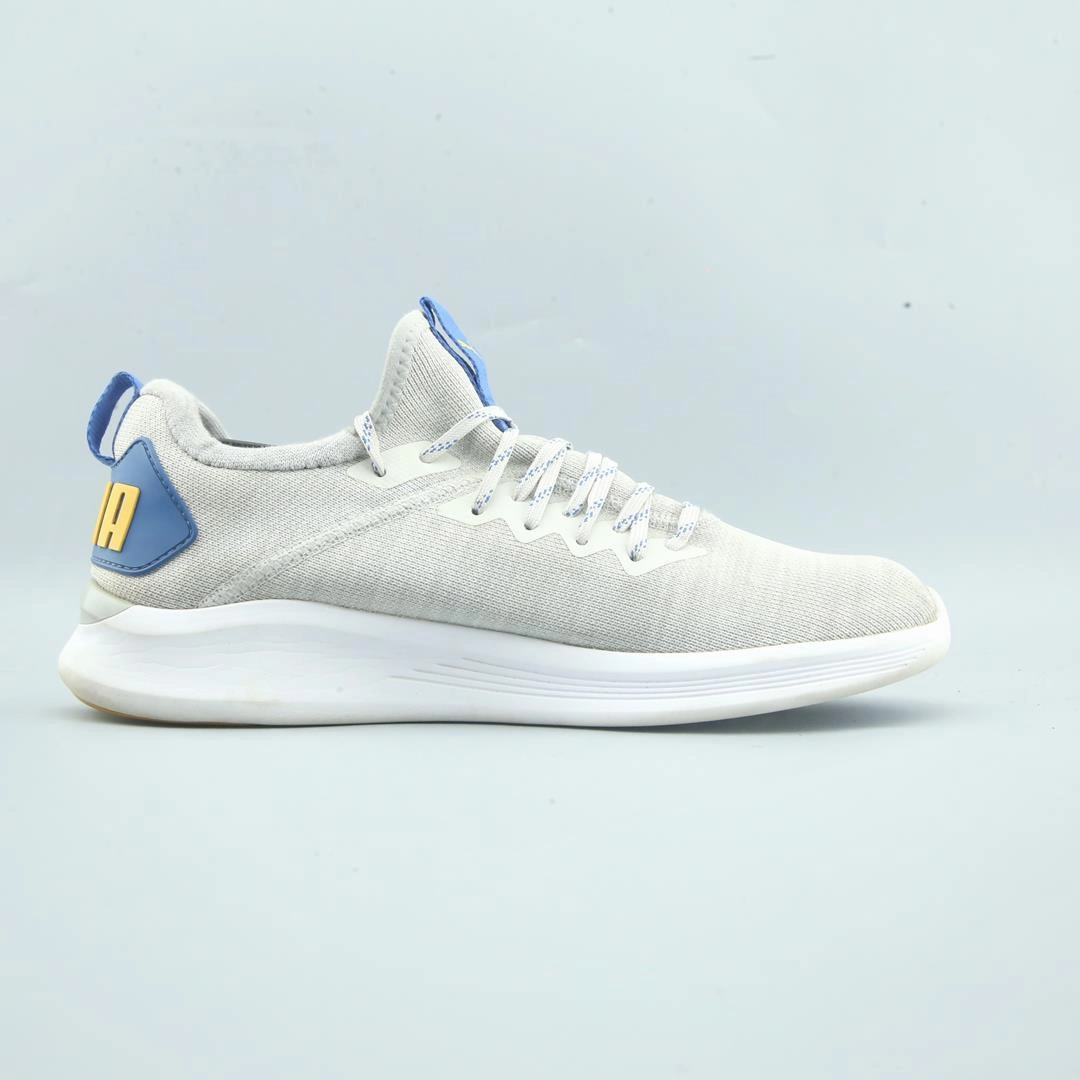 PUMA IGNITE FLASH EVOKNIT Puma sporty sneaker designs