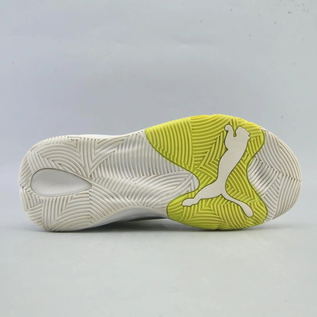 PUMA  REBOUND FUTURE EVO Puma signature shoe pictures