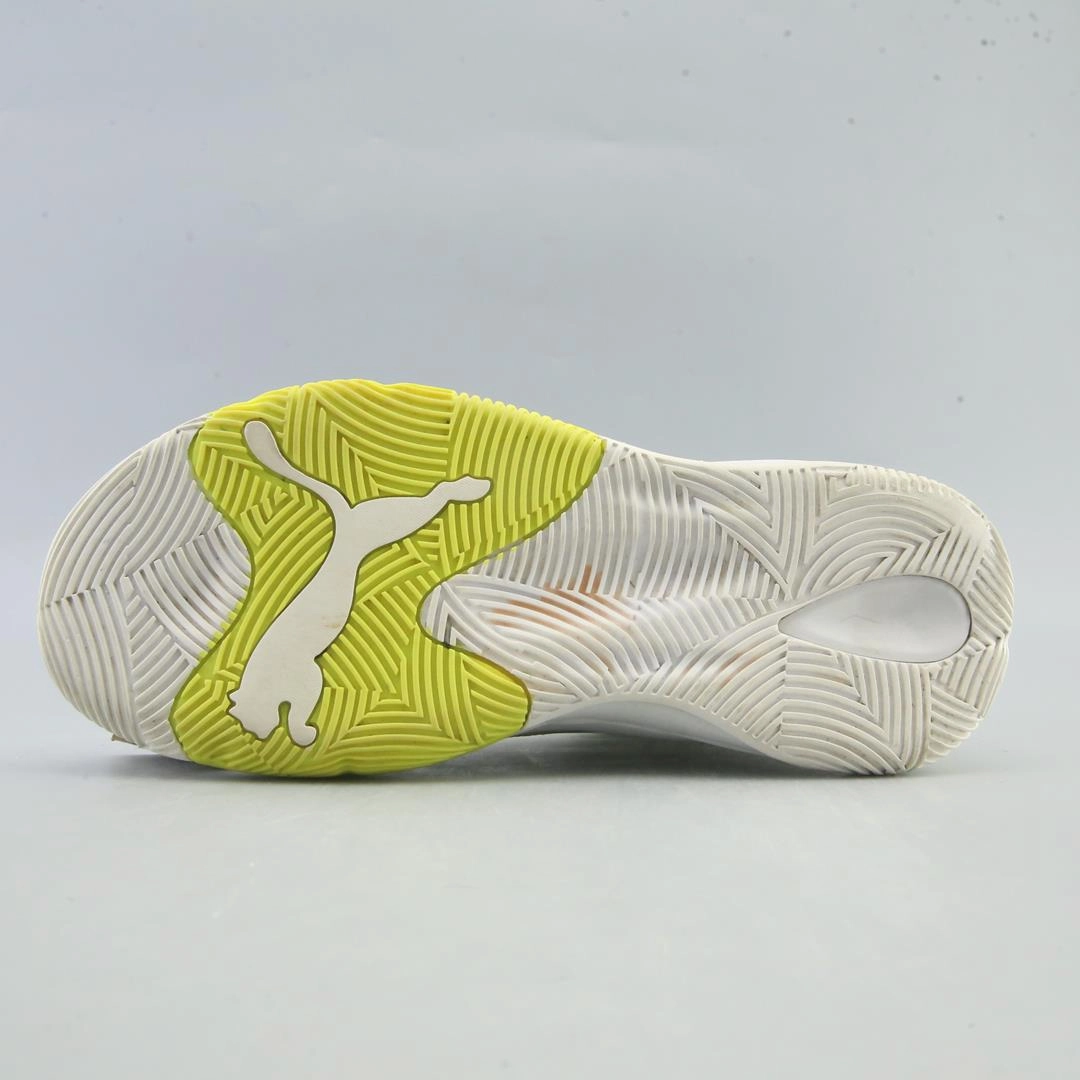PUMA  REBOUND FUTURE EVO Puma signature shoe pictures