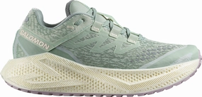 Salomon Aero Glide 3 GRVL Womens Trail Running Shoes - Green Salomon trail running shoes
