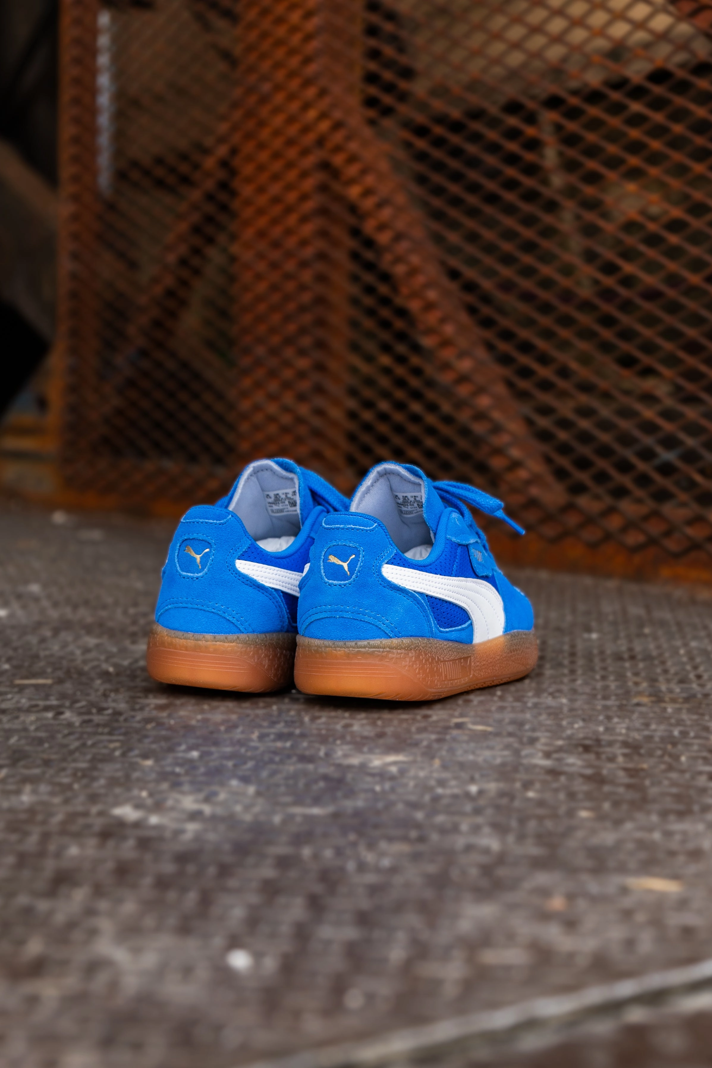 Women's Puma Palermo Moda Vintage (Hyperlink Blue/Gum) Puma athletic shoe visuals