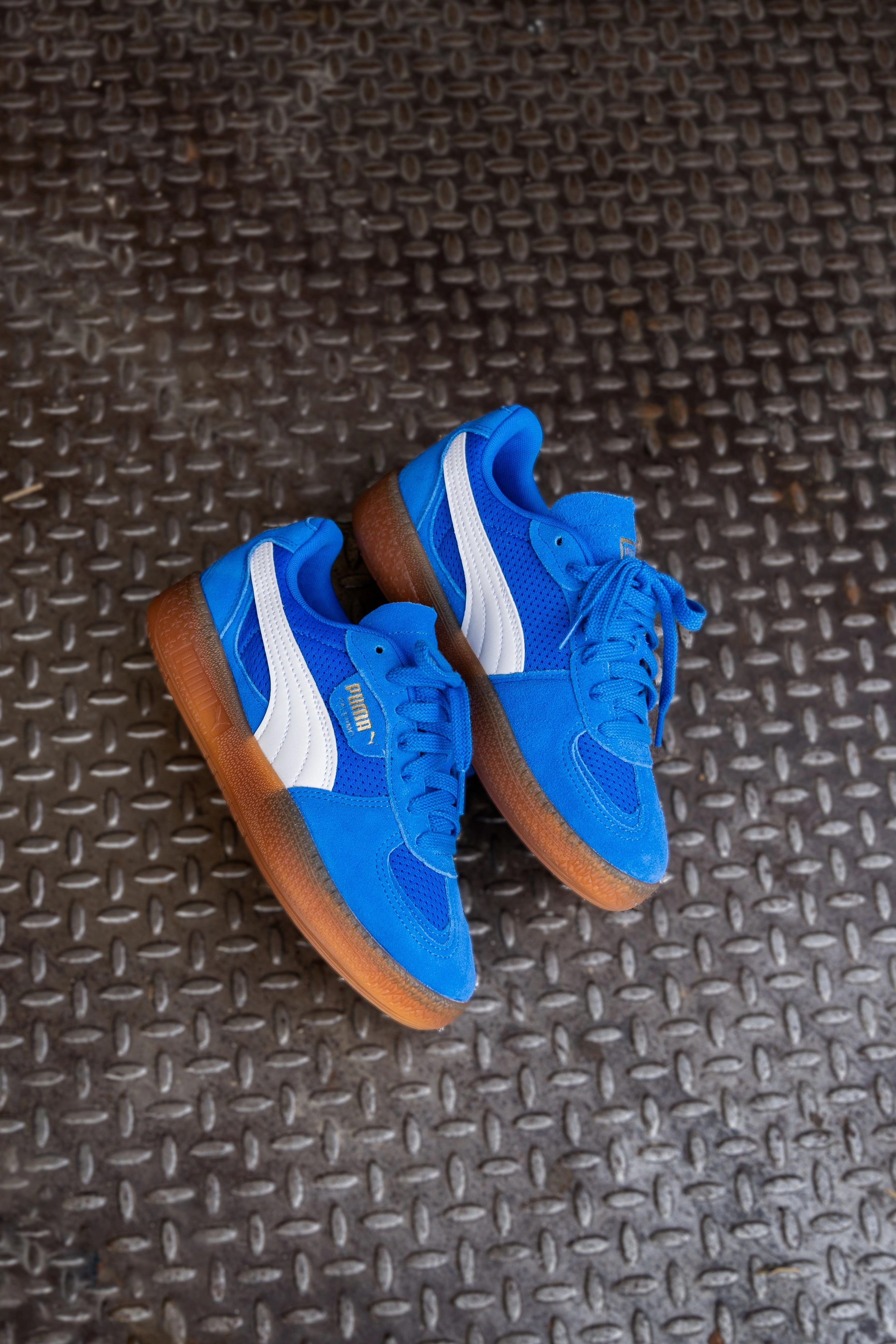 Women's Puma Palermo Moda Vintage (Hyperlink Blue/Gum) Puma athletic shoe visuals