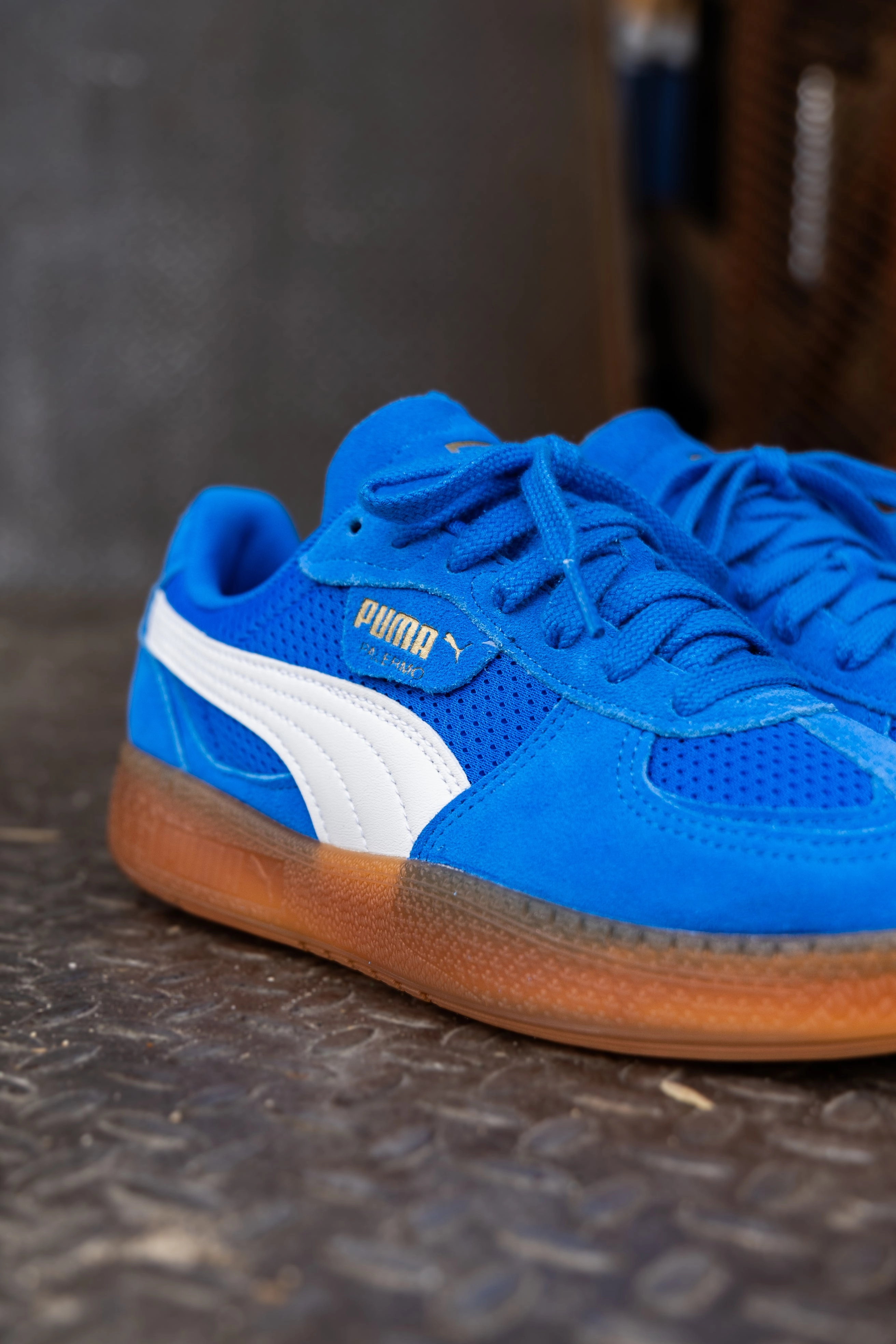 Women's Puma Palermo Moda Vintage (Hyperlink Blue/Gum) Puma athletic shoe visuals