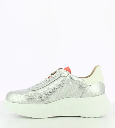 WONDERS A-3625 SILVER CORAL