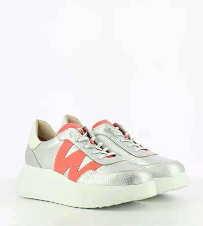 WONDERS A-3625 SILVER CORAL