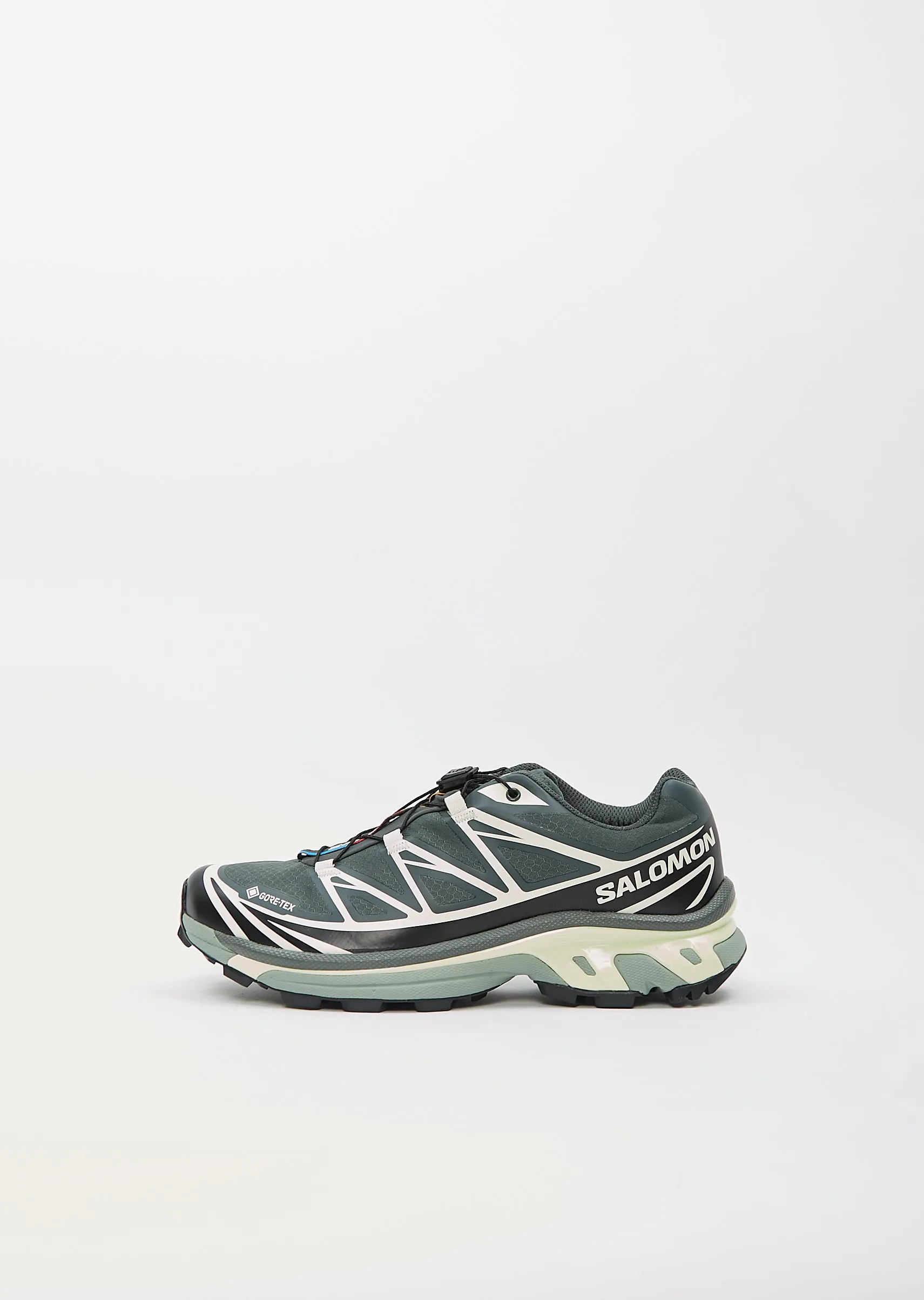 XT-6 GTX  Urban Chic/Black/Lime Cream